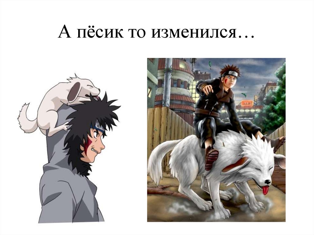 А пёсик то изменился…