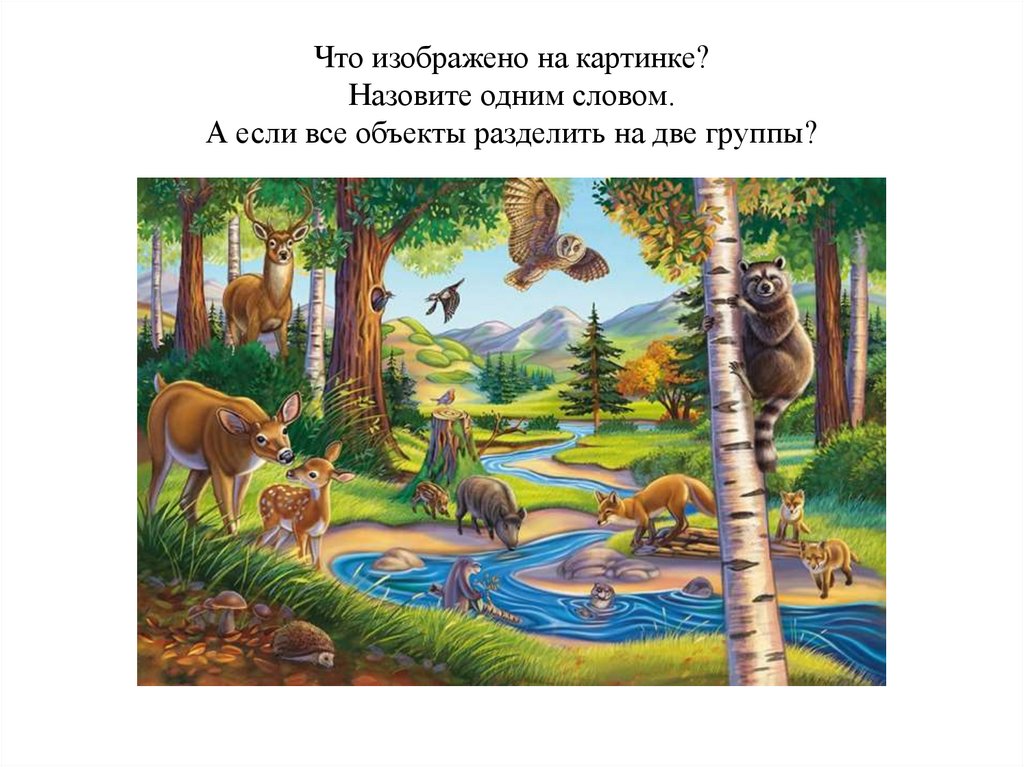 Что изображено на картинке? Назовите одним словом. А если все объекты разделить на две группы?