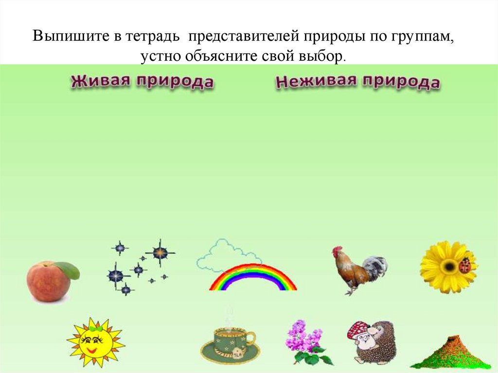 Выпишите в тетрадь представителей природы по группам, устно объясните свой выбор.
