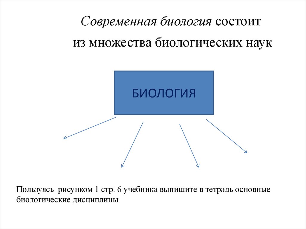 Современная биология состоит из множества биологических наук