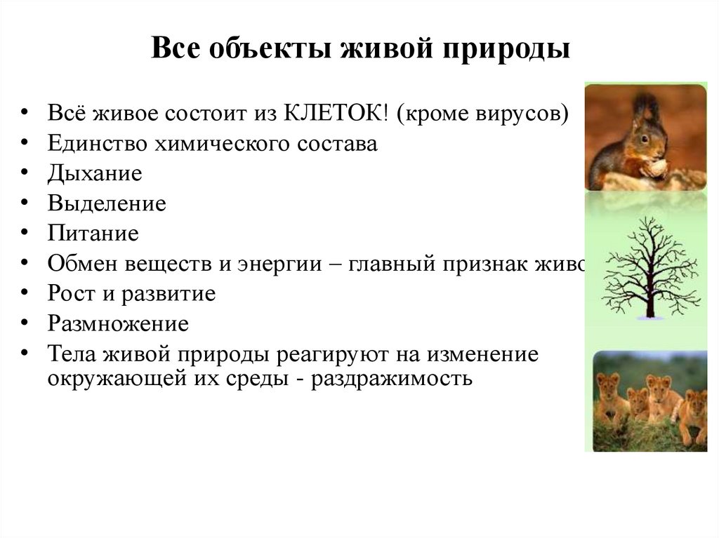 Все объекты живой природы