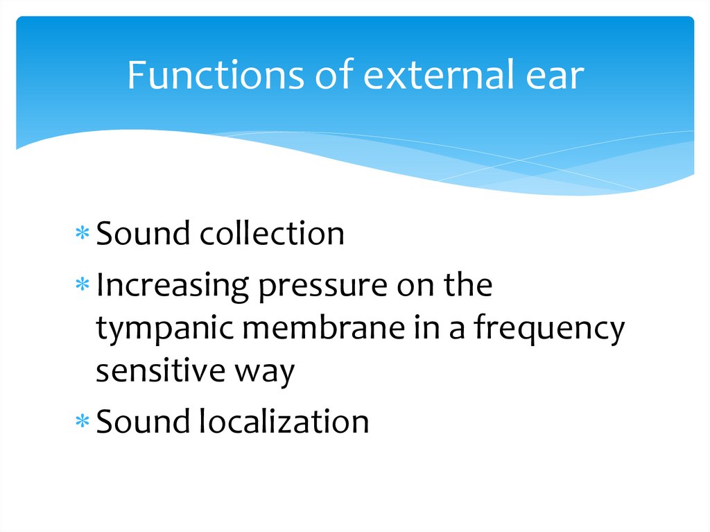 Functions of external ear