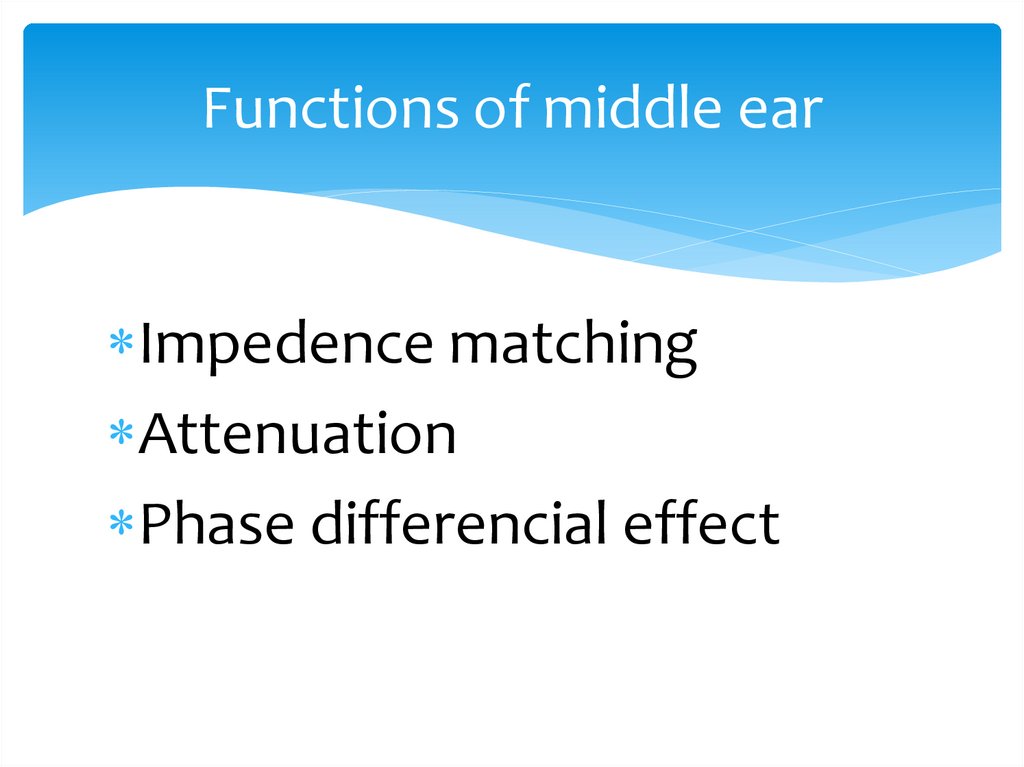 Functions of middle ear