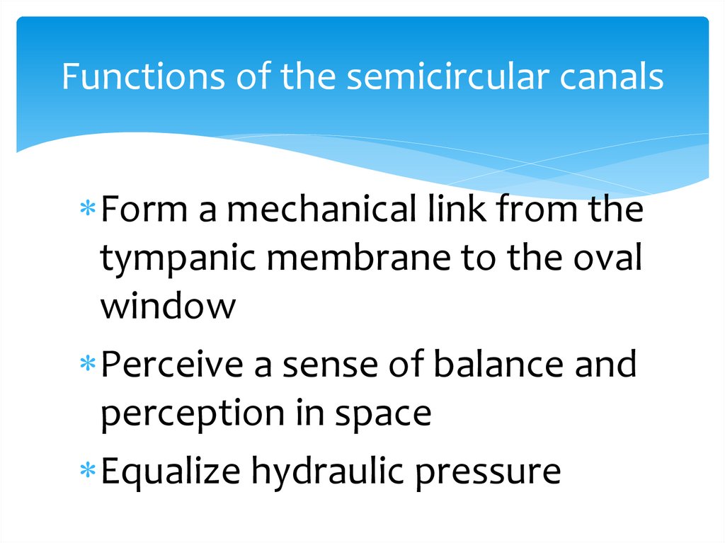 Functions of the semicircular canals
