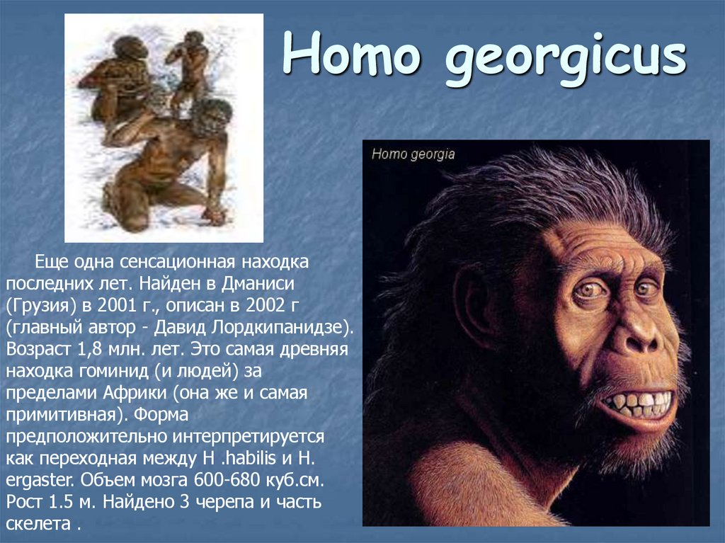 Homo georgicus