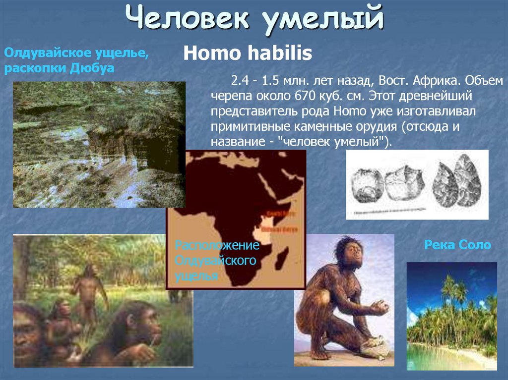 Человек умелый