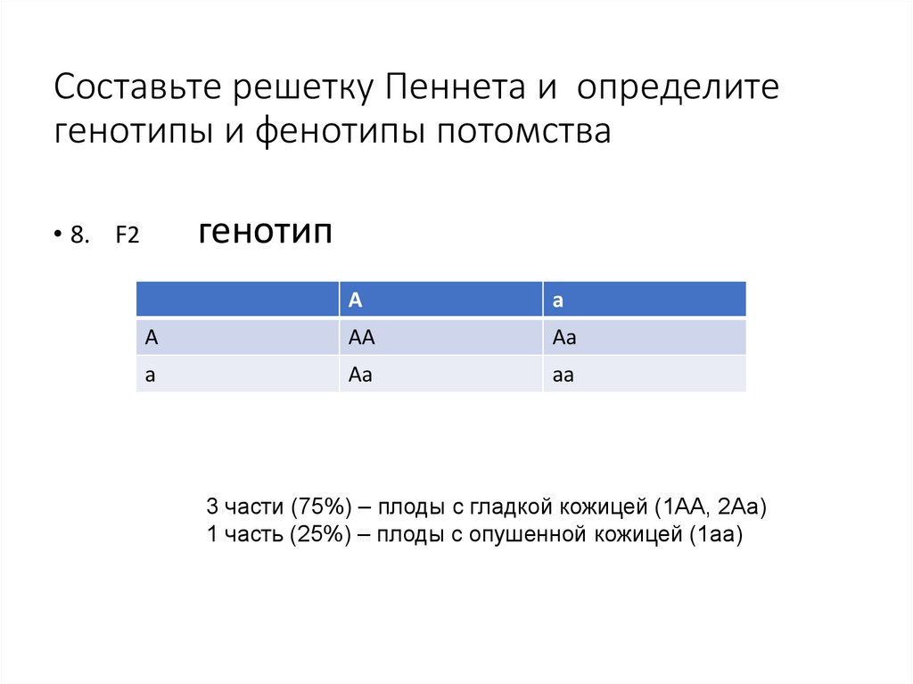 Составьте решетку Пеннета и определите генотипы и фенотипы потомства