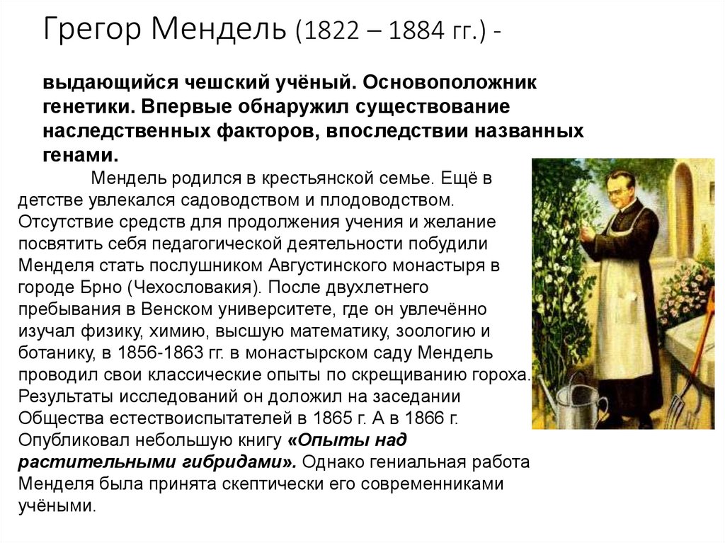 Грегор Мендель (1822 – 1884 гг.) -