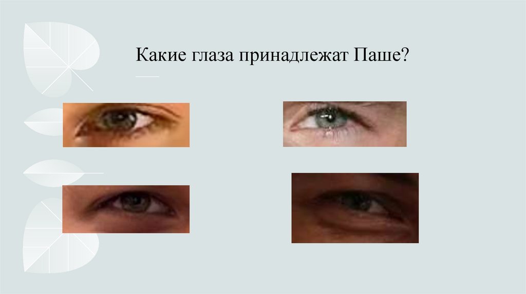 Какие глаза принадлежат Паше?