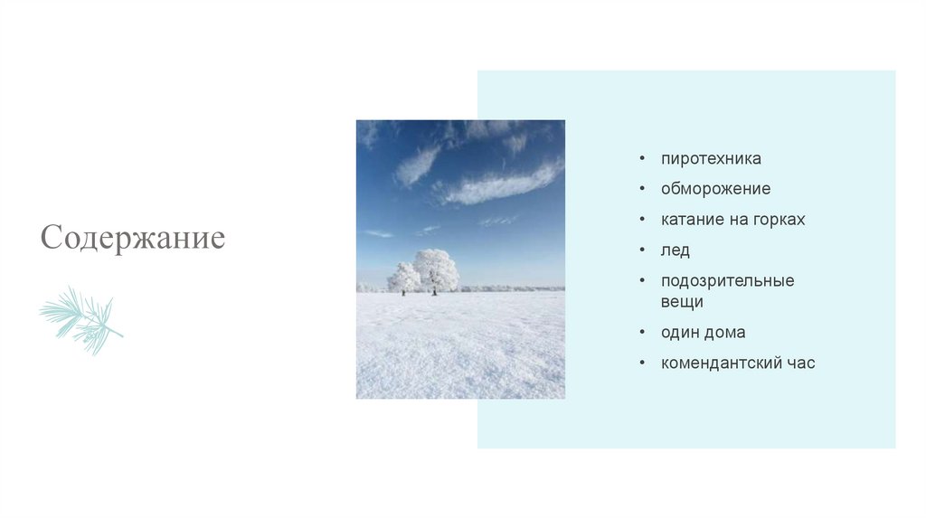 Содержание