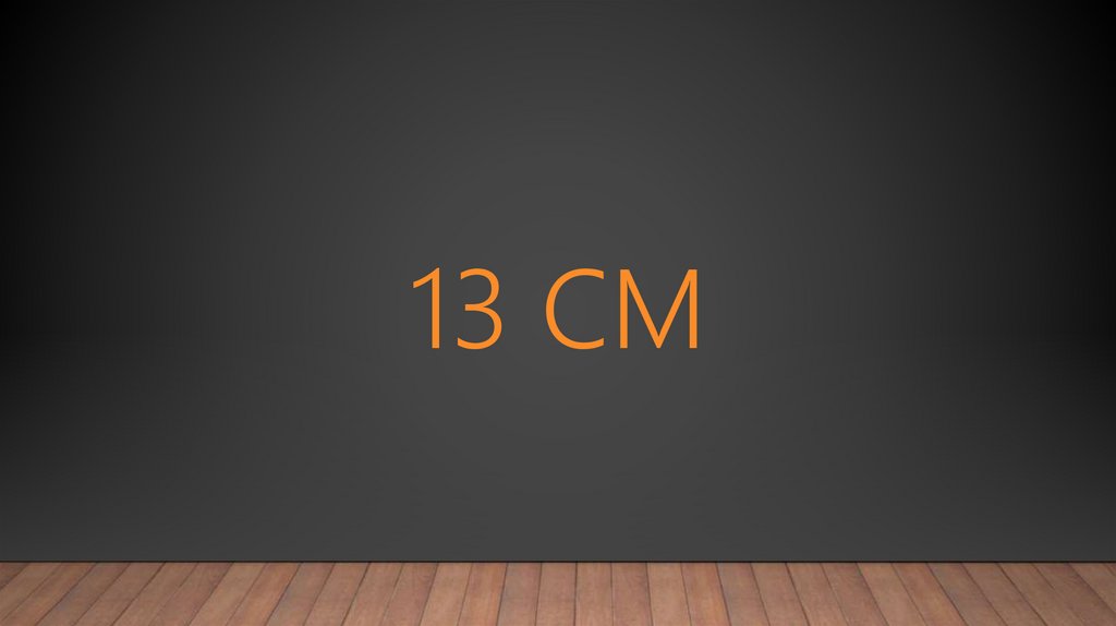 13 см