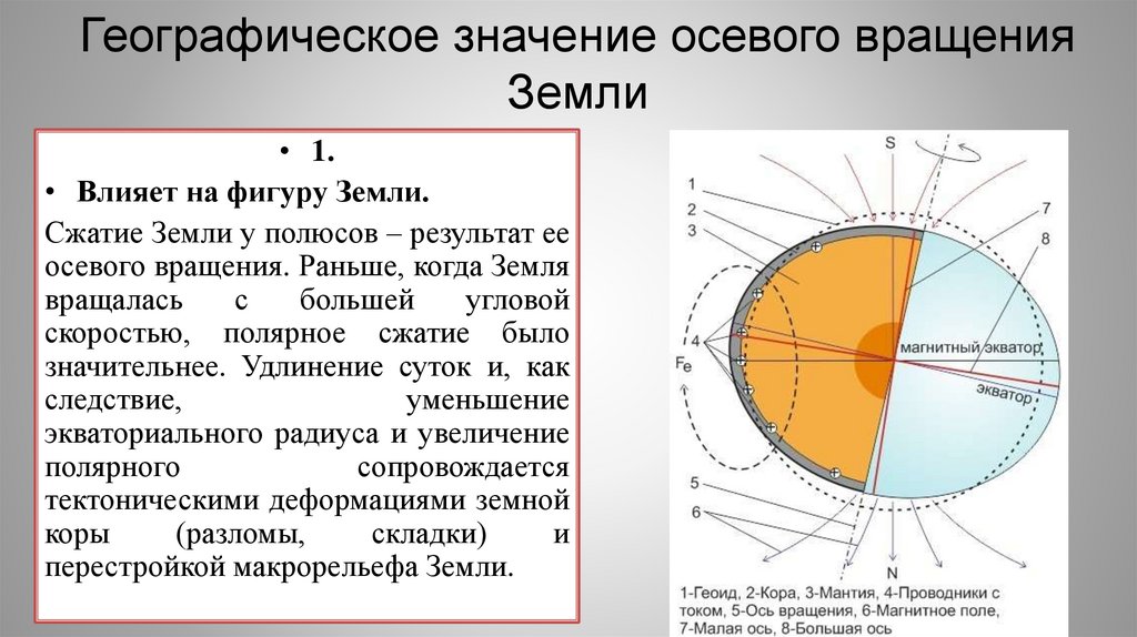 Географическое значение осевого вращения Земли