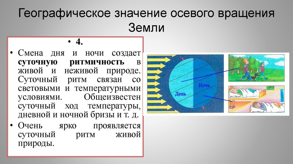 Географическое значение осевого вращения Земли