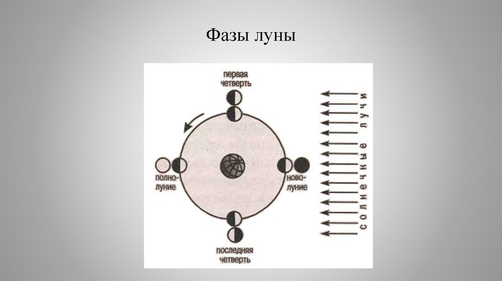 Фазы луны