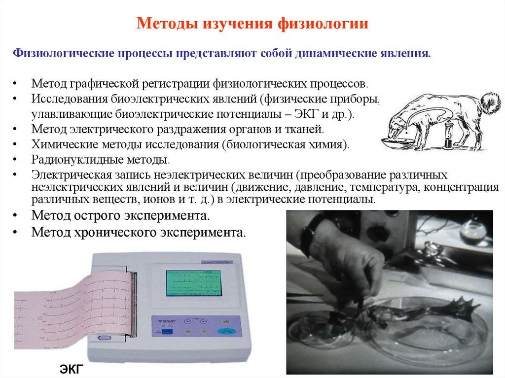 Методы изучения физиологии