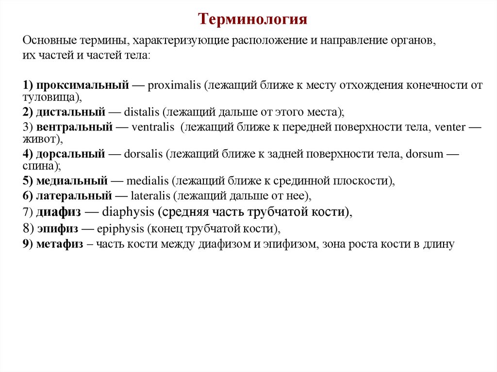 Терминология