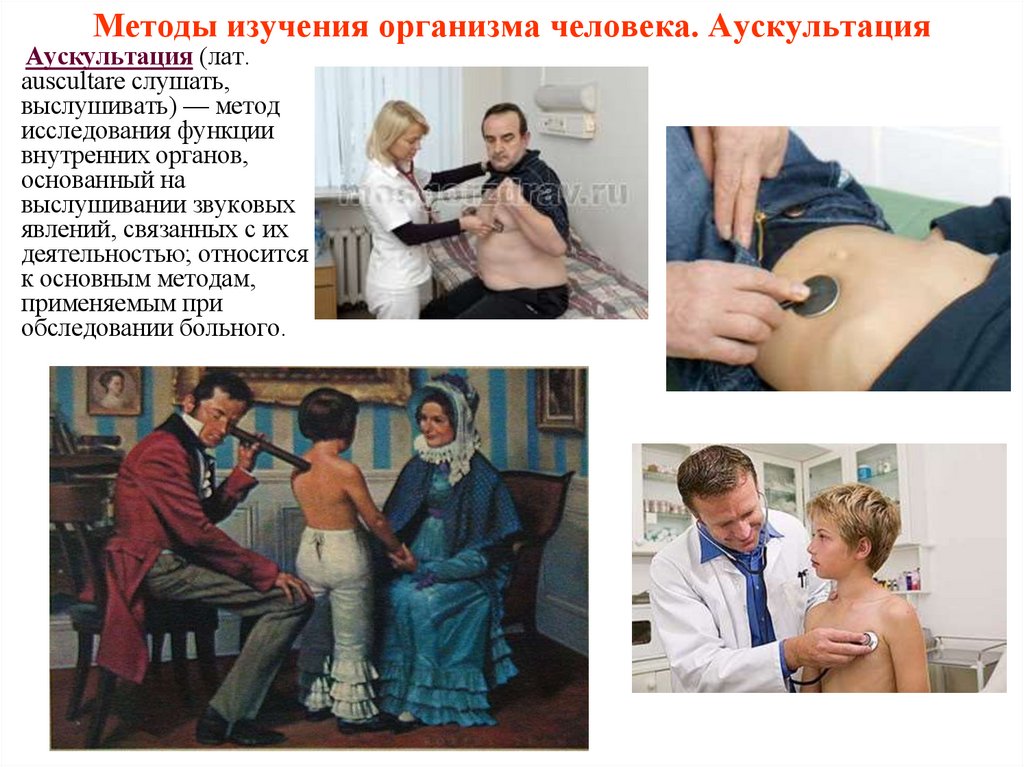 Методы изучения организма человека. Аускультация