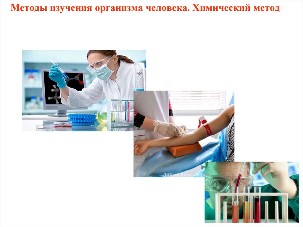 Методы изучения организма человека. Химический метод