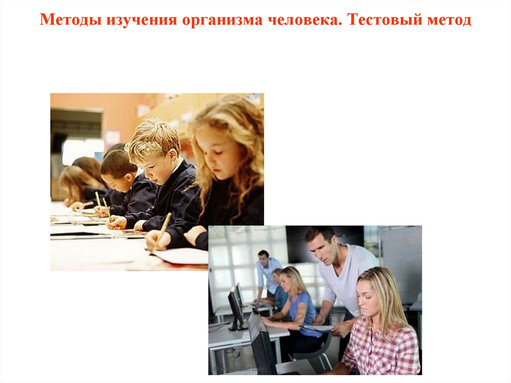 Методы изучения организма человека. Тестовый метод