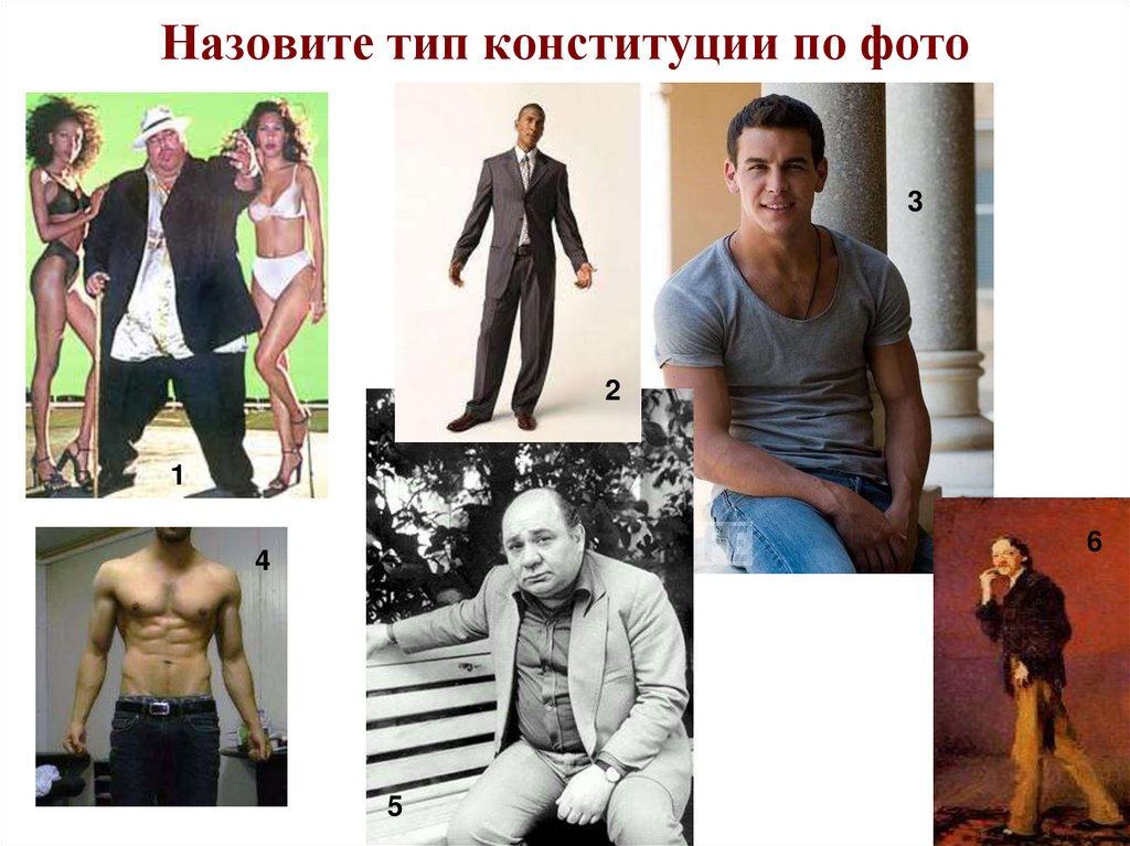 Назовите тип конституции по фото