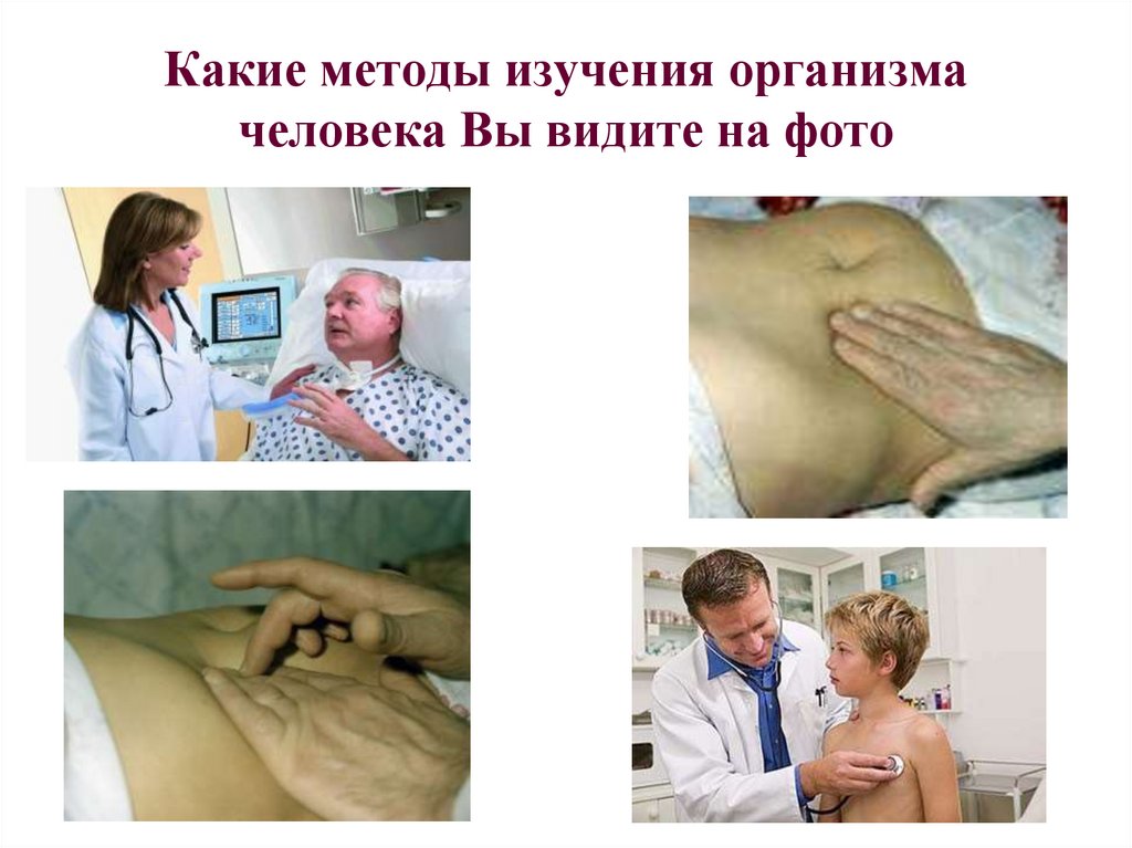 Какие методы изучения организма человека Вы видите на фото