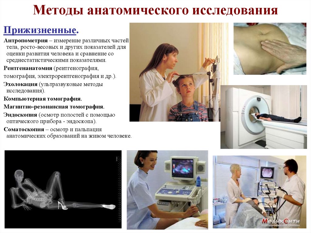 Методы анатомического исследования