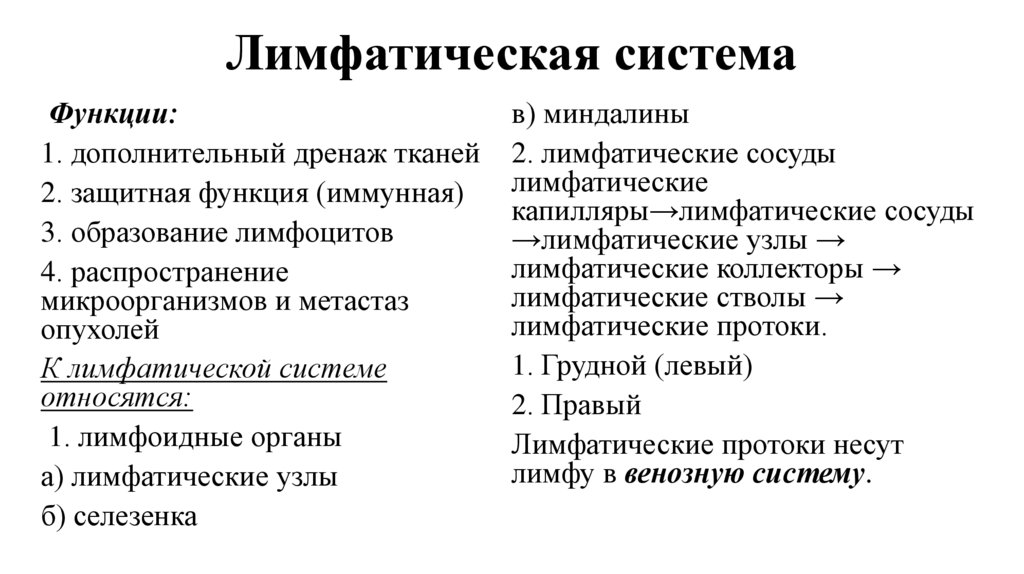 Лимфатическая система