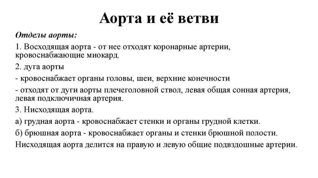 Аорта и её ветви