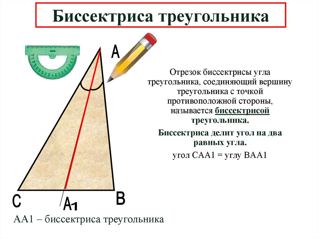 Биссектриса треугольника