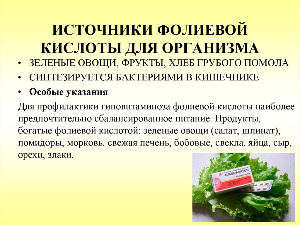 ИСТОЧНИКИ ФОЛИЕВОЙ КИСЛОТЫ ДЛЯ ОРГАНИЗМА
