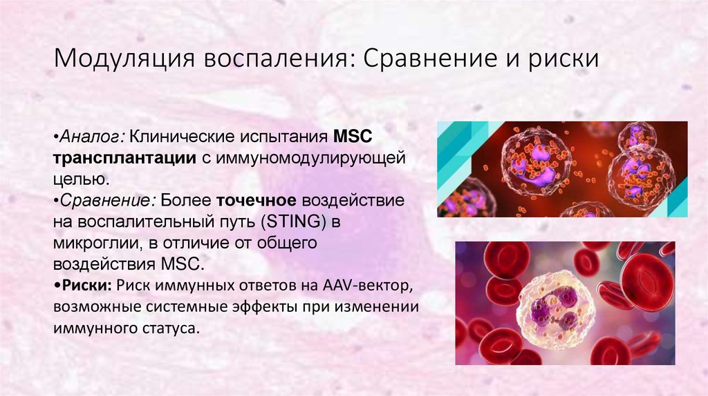 Модуляция воспаления: Сравнение и риски
