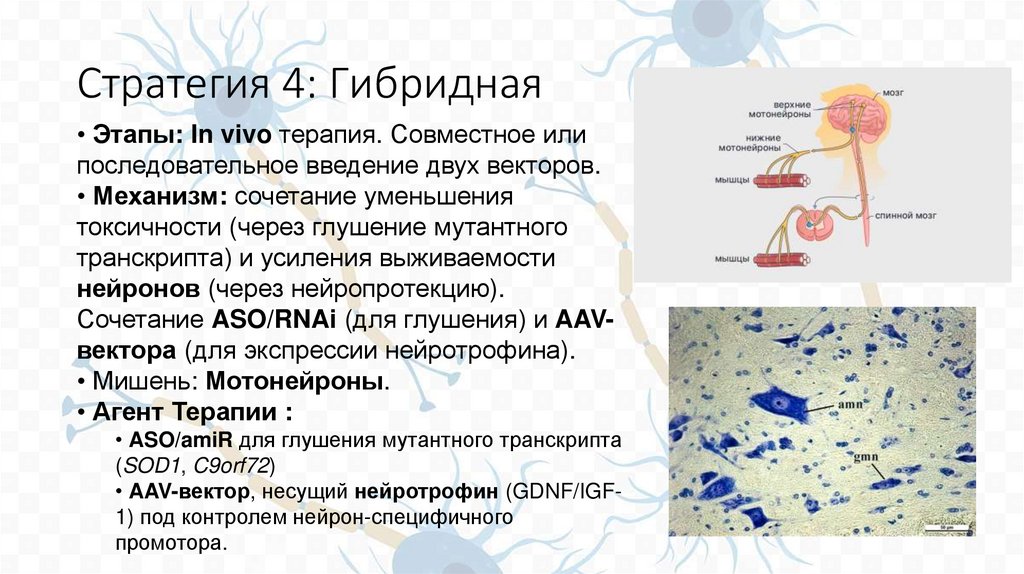 Стратегия 4: Гибридная