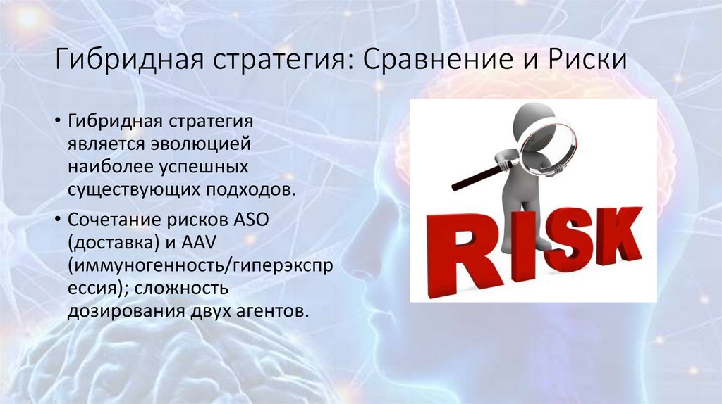 Гибридная стратегия: Сравнение и Риски