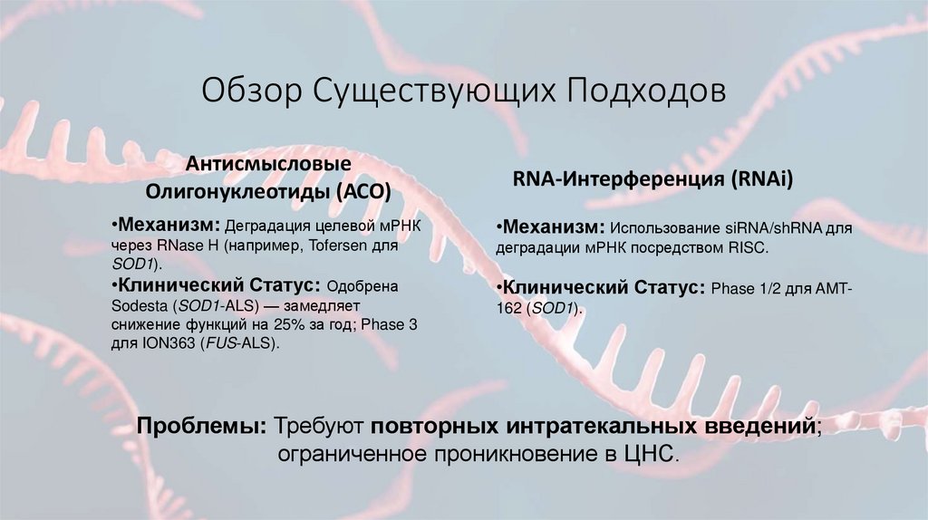 Обзор Существующих Подходов