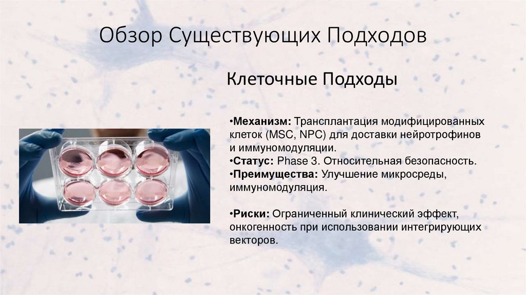 Обзор Существующих Подходов