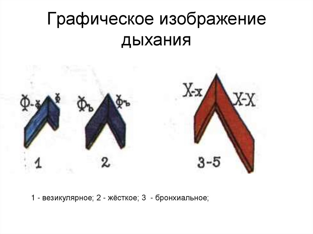 Графическое изображение дыхания