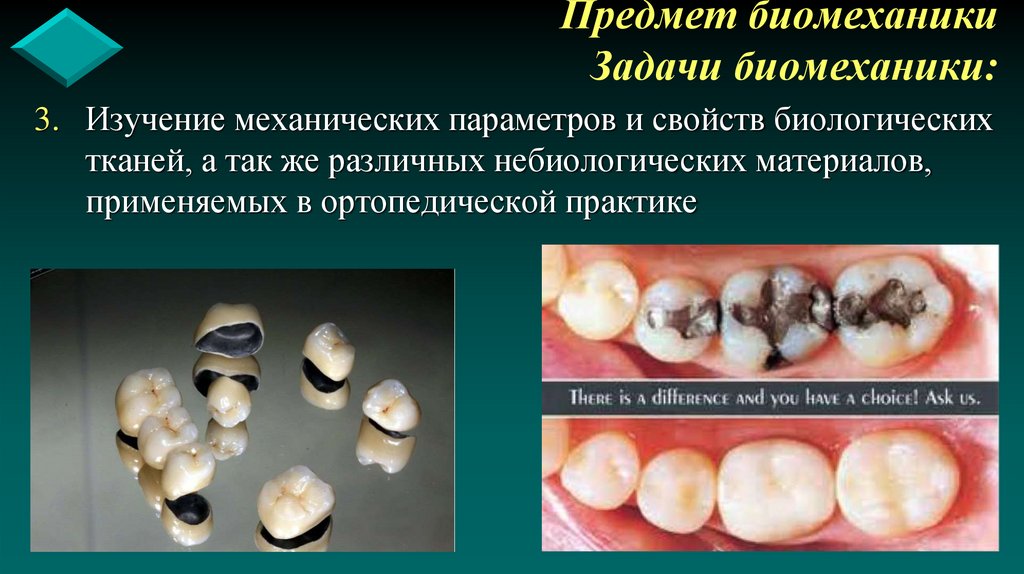 Предмет биомеханики Задачи биомеханики: