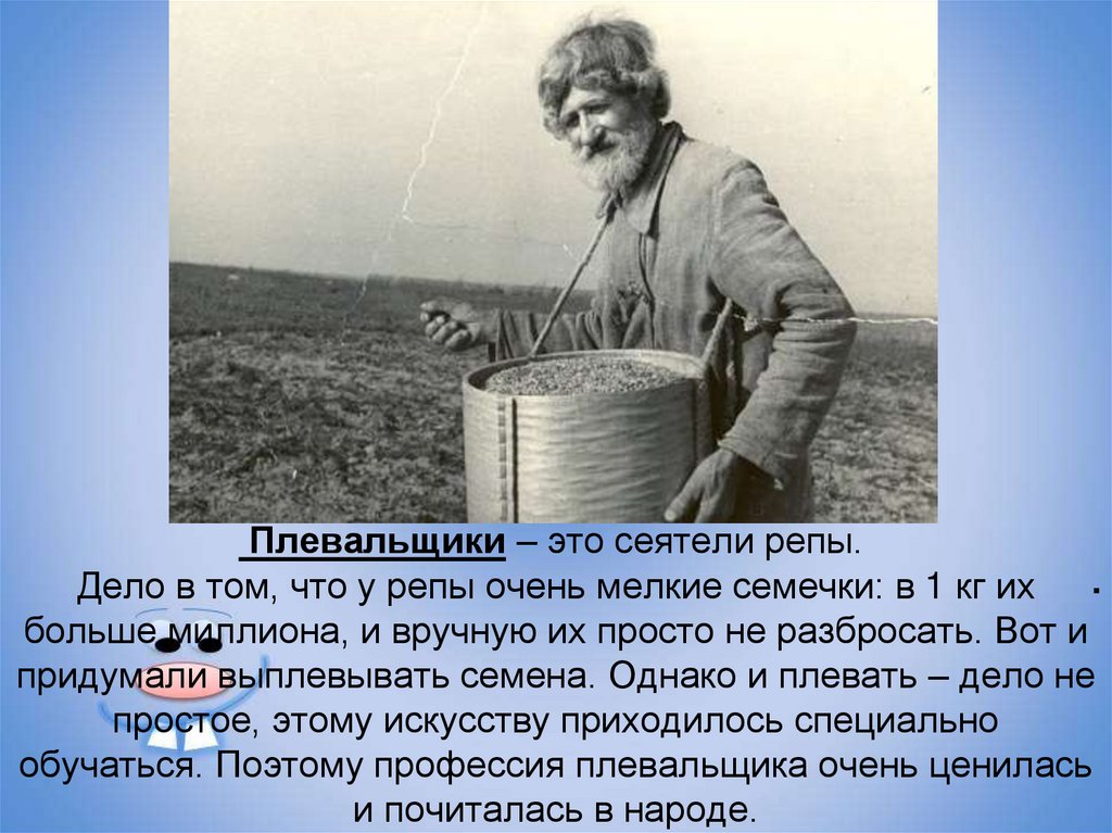  Плевальщики – это сеятели репы.  Дело в том, что у репы очень мелкие семечки: в 1 кг их больше миллиона, и вручную их просто