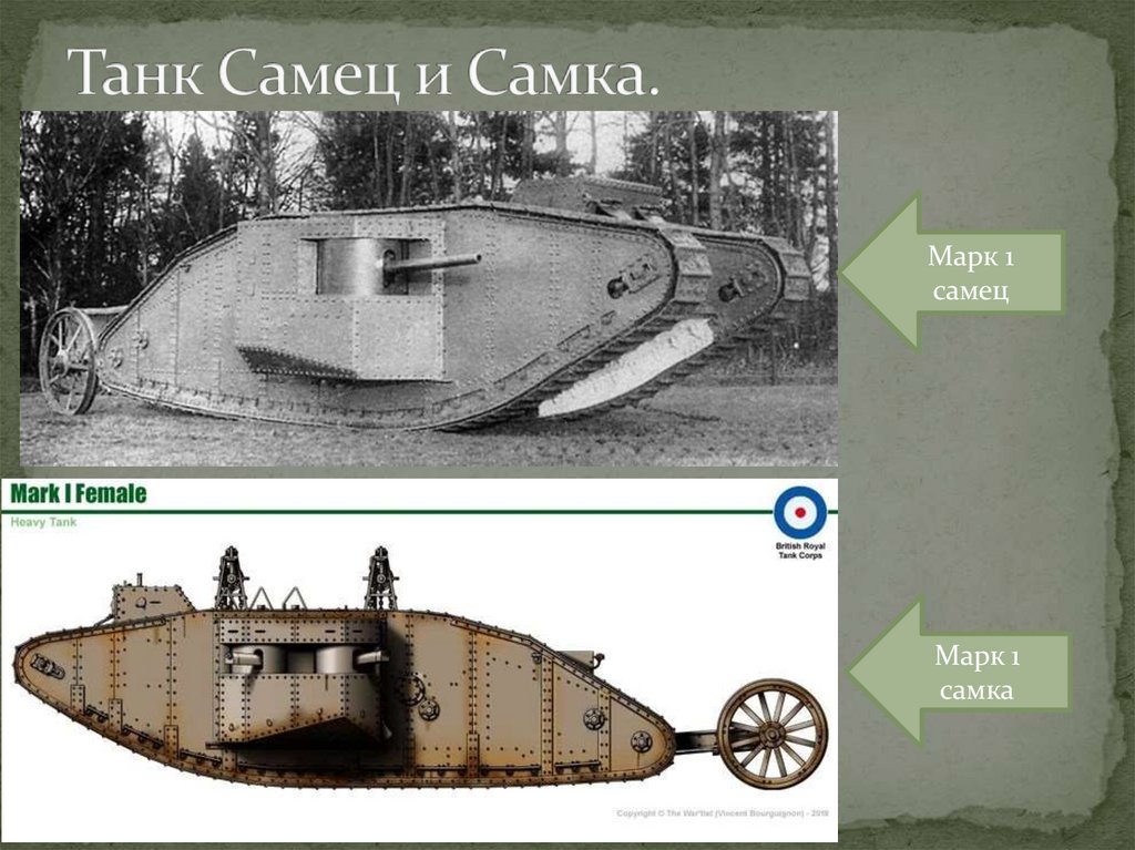 Танк Самец и Самка.