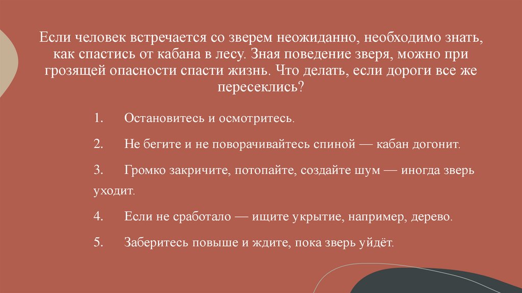 Если человек встречается со зверем неожиданно, необходимо знать, как спастись от кабана в лесу. Зная поведение зверя, можно при