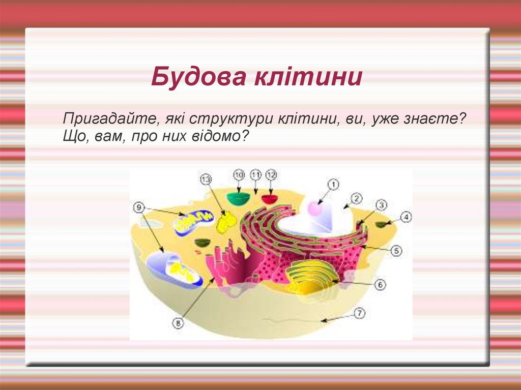 Будова клітини