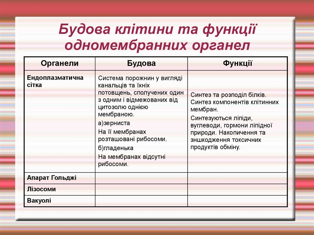 Будова клітини та функції одномембранних органел