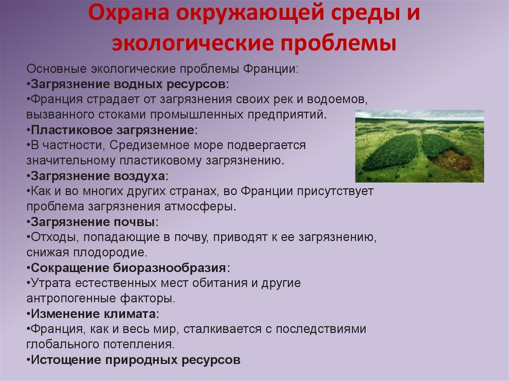 Охрана окружающей среды и экологические проблемы