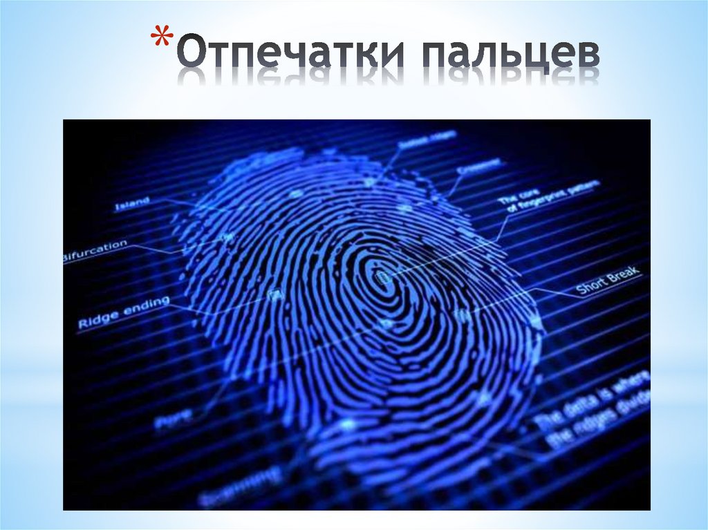 Отпечатки пальцев
