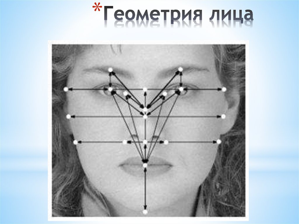 Геометрия лица