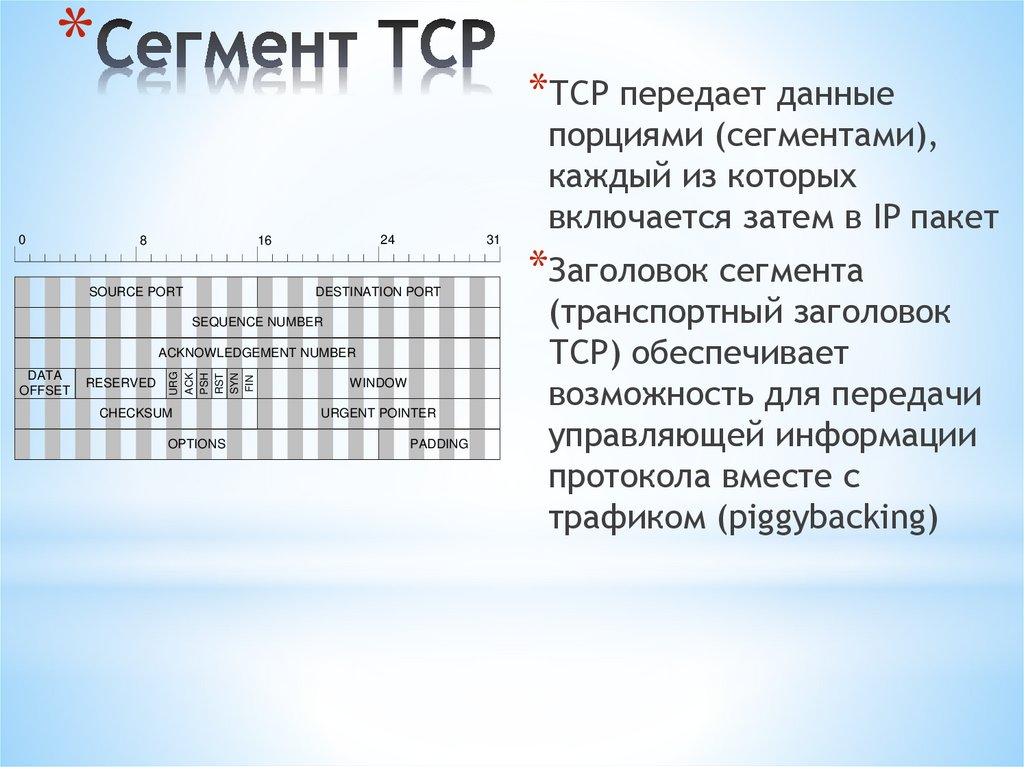 Сегмент TCP