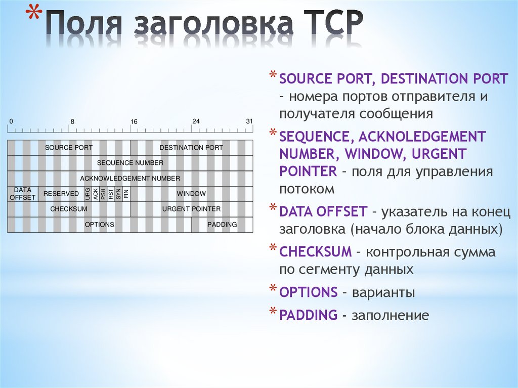 Поля заголовка TCP