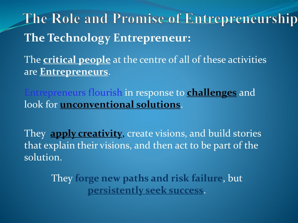 The Role and Promise of Entrepreneurship