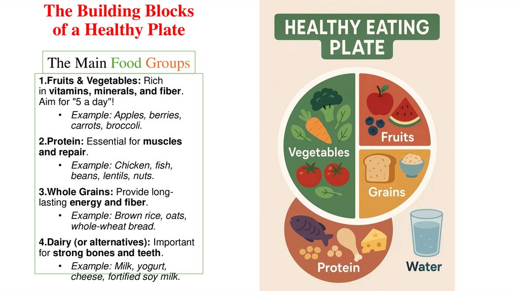 The Building Blocks of a Healthy Plate