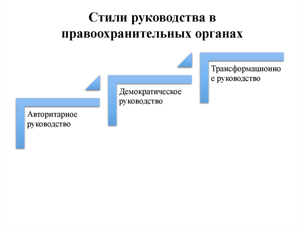 Стили руководства в правоохранительных органах